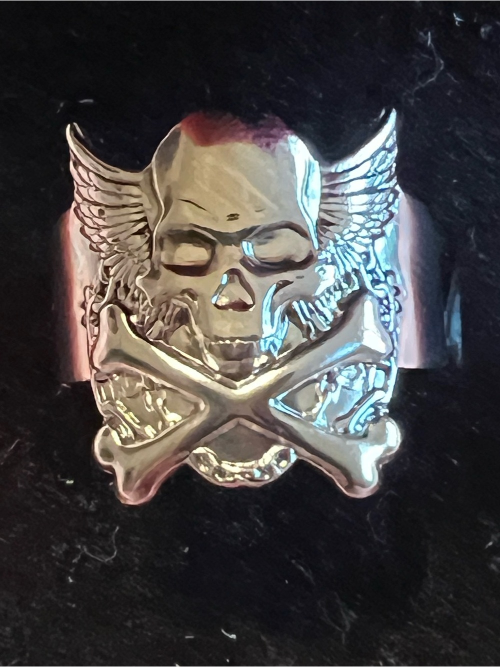 Winged Skull Crossbones Stainless Steel Men's Ring - Silver Adjustable 9-14